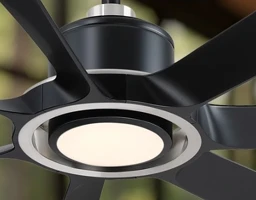 TorchAire - Fanimation